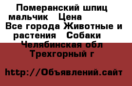 Померанский шпиц, мальчик › Цена ­ 35 000 - Все города Животные и растения » Собаки   . Челябинская обл.,Трехгорный г.